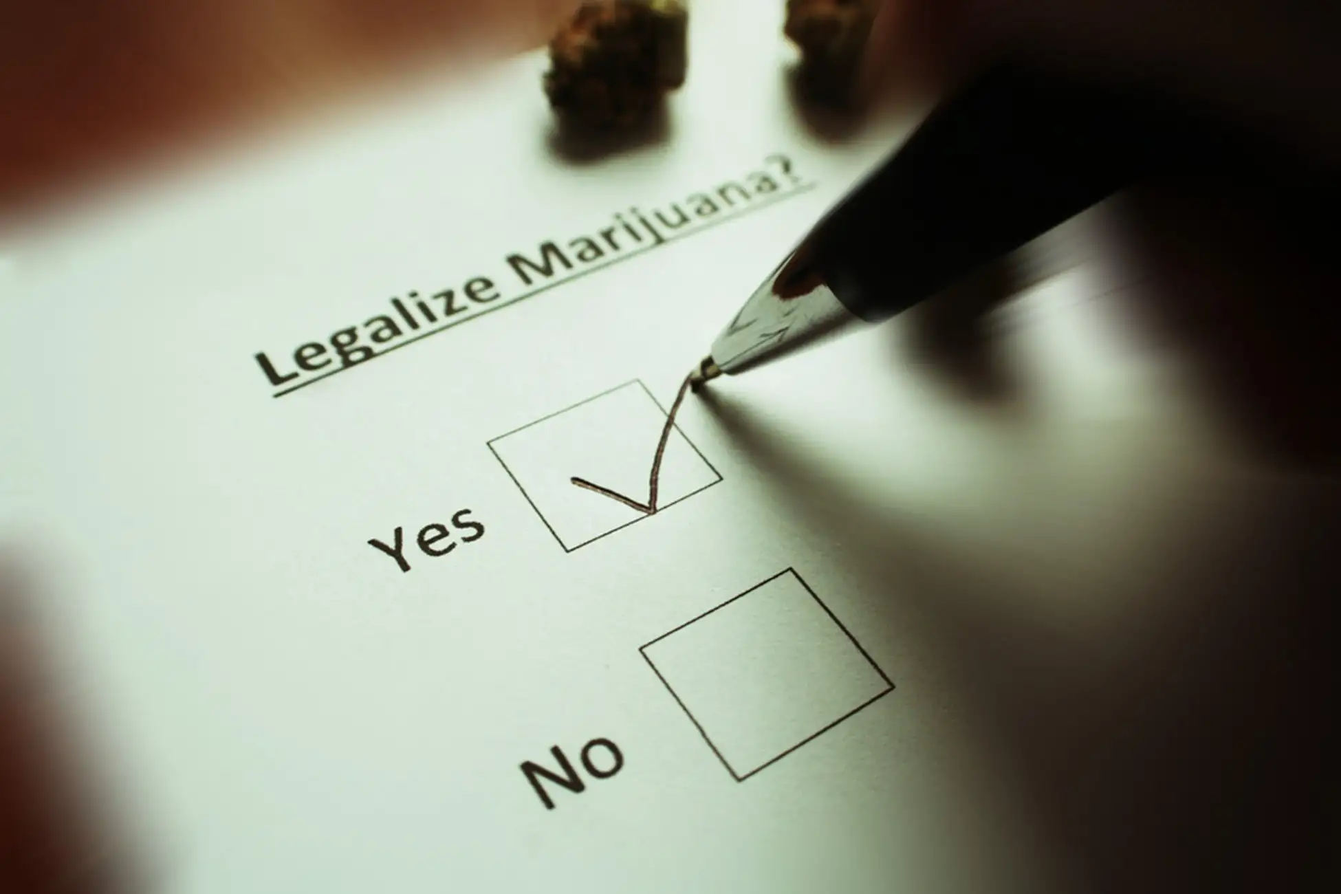 legalize marijuana survey